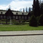 mini-DSC03650