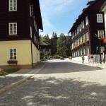 mini-DSC03652