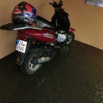 mini-CIMG1665