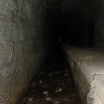 mini-CIMG1768